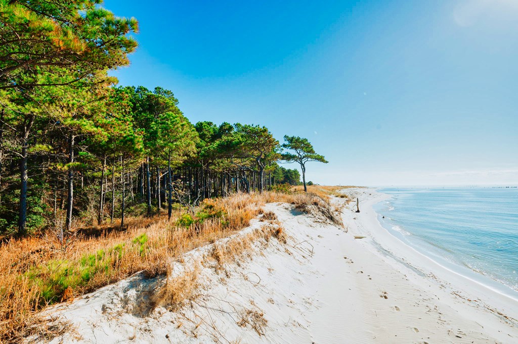 Lot # 2 Elliotts Creek Ln 2