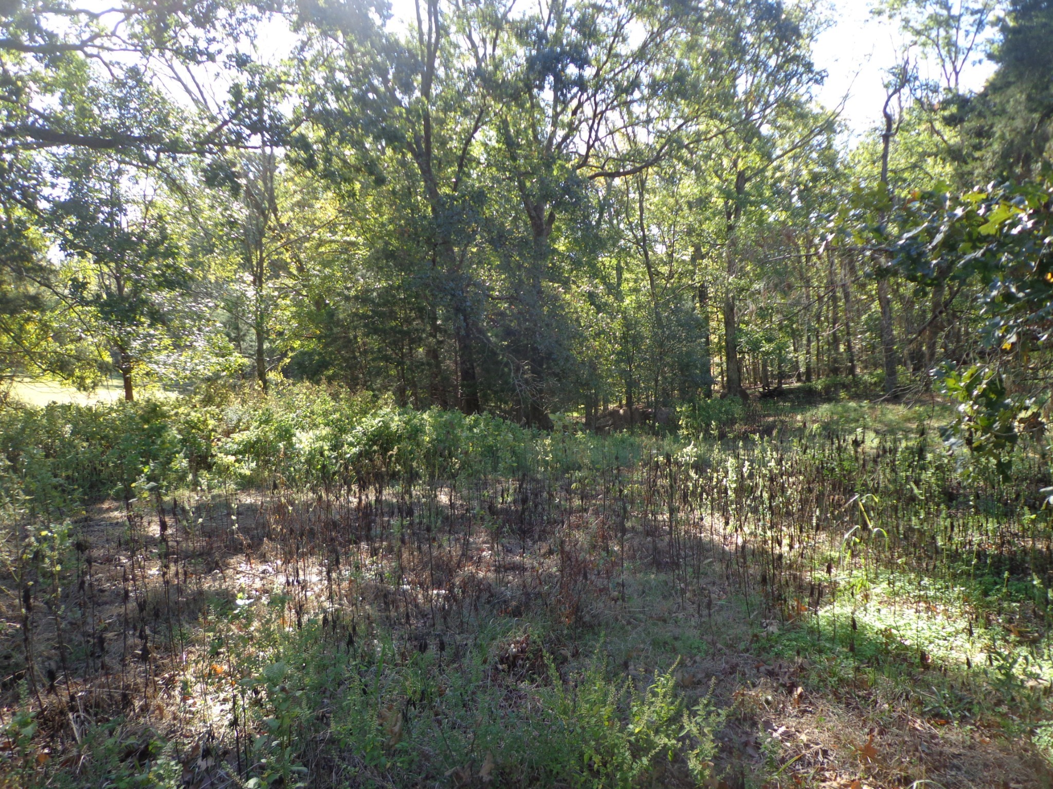 0 Halls Creek Road