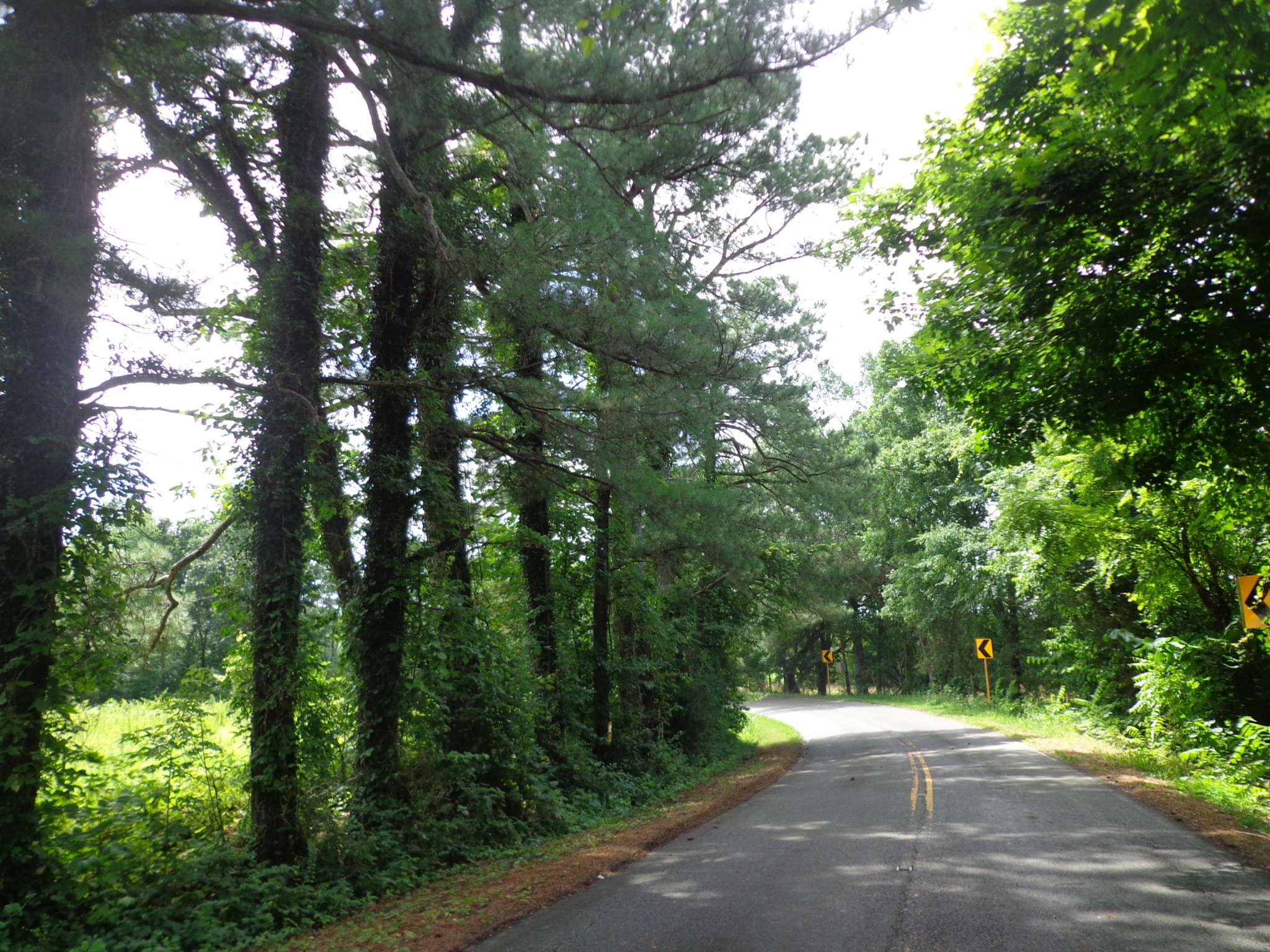 2625 Old Blacktop Rd