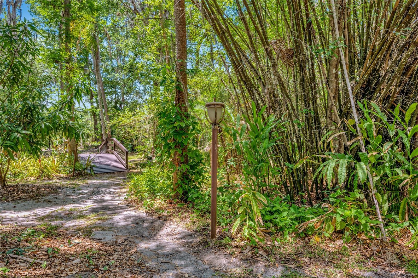 11526 River Country Drive