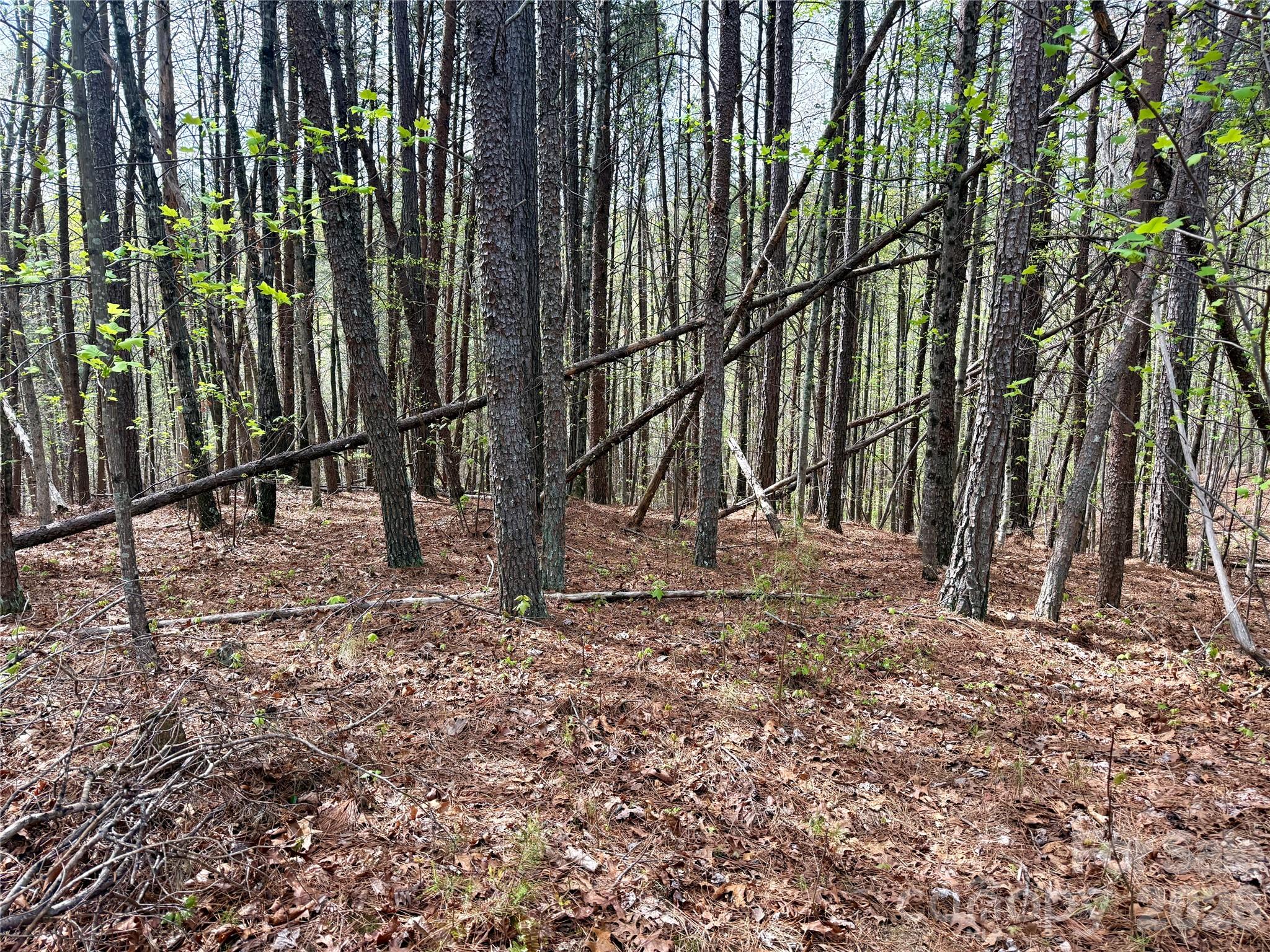 Lot 488 Bella Vista Way 488