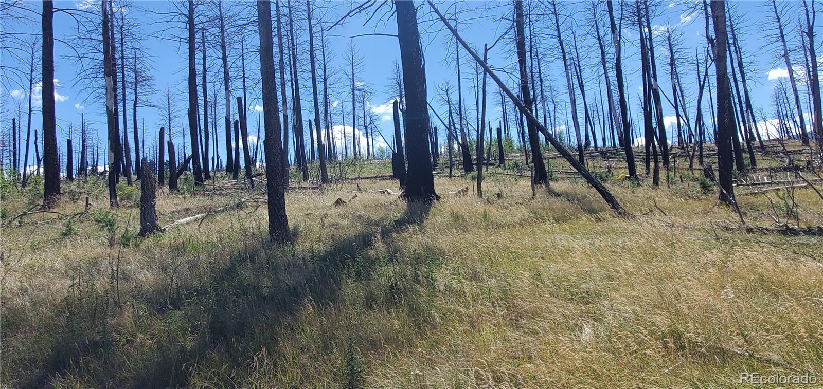 Lot 1064 Reed Lane