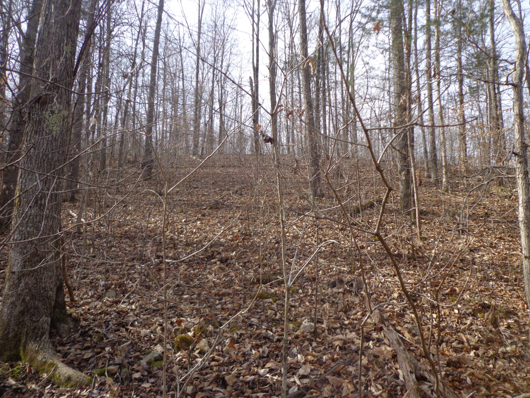 0 Ennis Branch Road