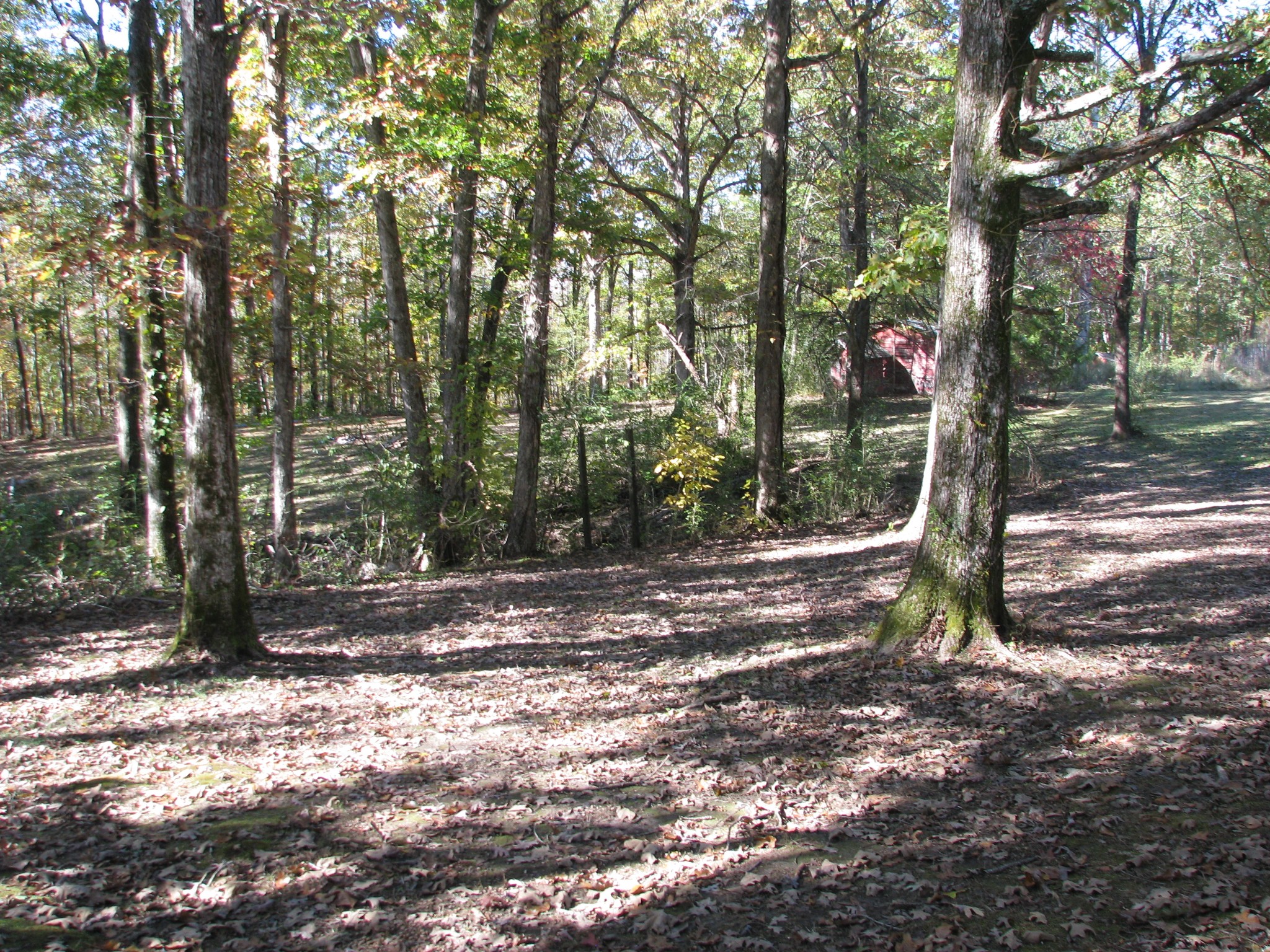 329 Clover Ln