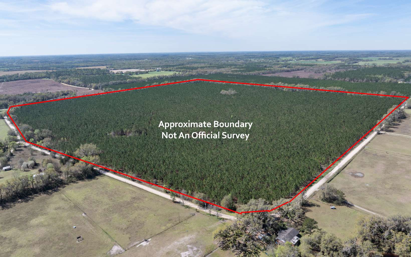 Situated in the serene North Florida town of Madison, this 161+ acre property boasts prime planted pine with accessible exterior trails and interior trails. The meticulously maintained pines are home to a variety of wildlife, including deer, turkey, dove, and even the occasional bobcat. The property attracts diverse wildlife, enhancing the natural beauty of the surroundings. With an existing pine straw contract in place, this property offers additional income opportunities for the discerning buyer. Ideal for building your dream home, the land features a floodplain X and is conveniently located near Valdosta, GA, and Tallahassee, FL. The property features high speed and power nearby! One property line is fenced, and a section of stunning hardwood trees adds to the charm of this remarkable property. After hunting season, enjoy fishing in the nearby Withlacoochee River and Cherry Lake, making this property a nature lover's paradise.