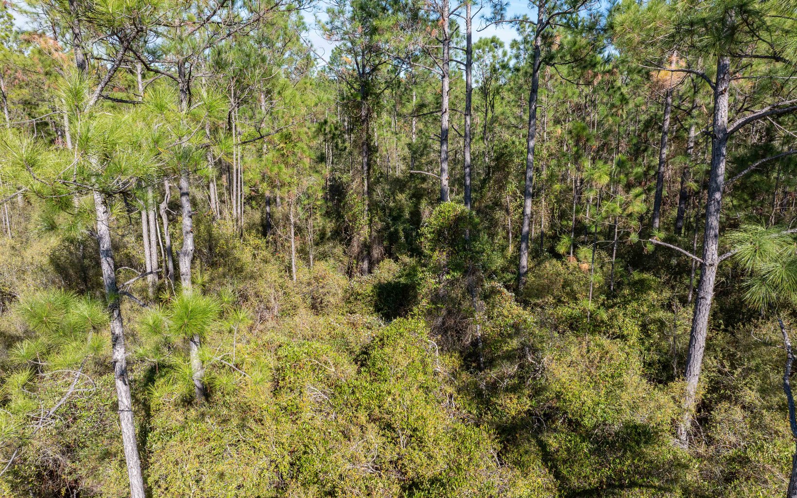 1032 SW Van Buren Rd