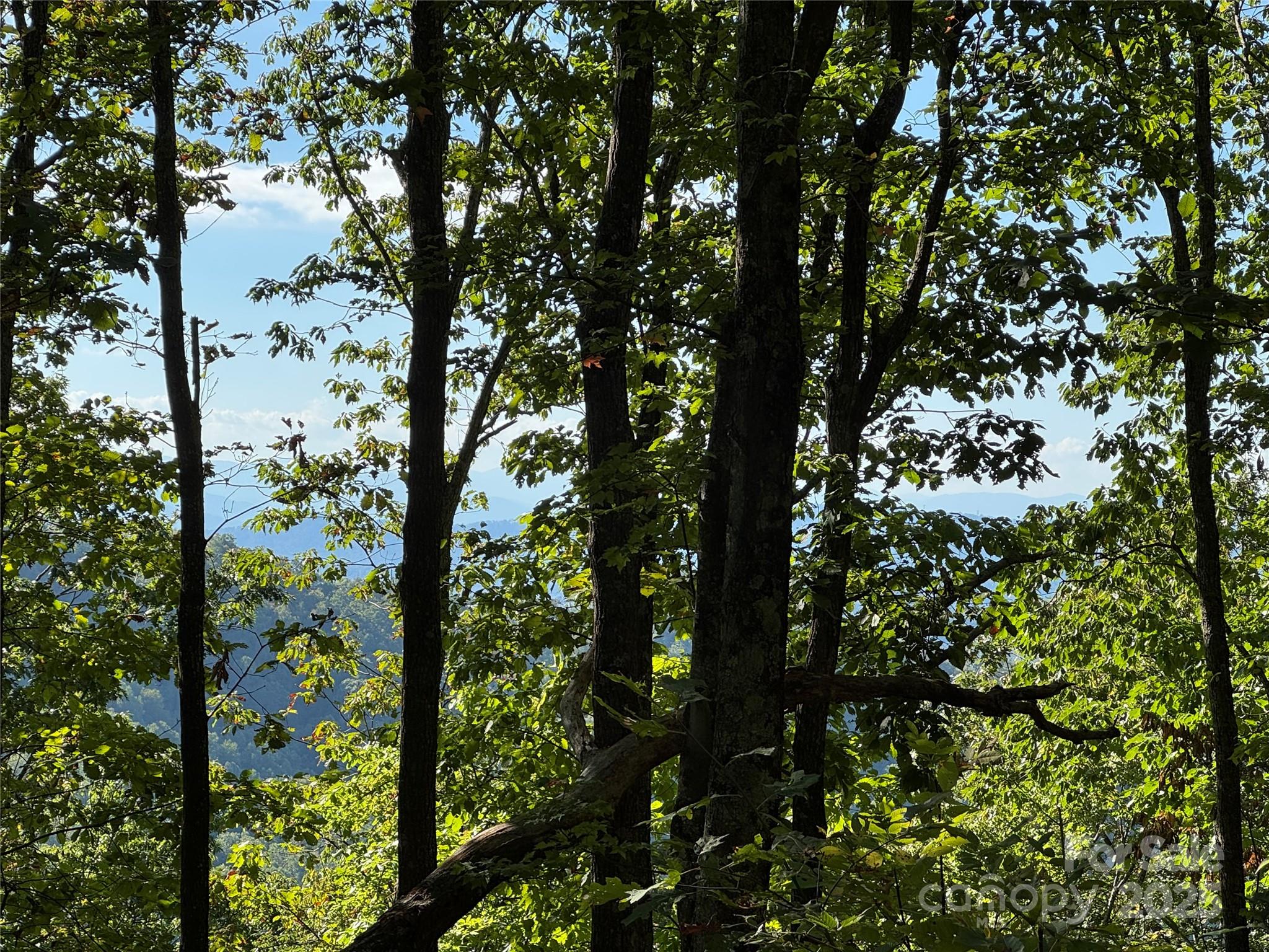 Don't miss this chance to own acreage in one of the areas most innovative, nature oriented communities. 11 community hiking and walking trails, community garden and apiary afford opportunities not available in many communities. Being bordered by a large conservation easement insured protection for native flora and fauna as well as humans!

This is one of the larger tracts in this community. Due to it's topography there is potential for spectacular, multi range long distance mountain views. As a former developer of large mountain tract, I know that parcels of this size in restricted communities are very rare now, especially with paved road frontage. Having a protected ridge zone behind the lot adds value to this parcel as restricts development on both sides of the ridge.

This parcel is ideal for buyers wanting to be immersed in nature without feeling isolated. Nearby Asheville has all the fine dining, cultural offerings and events one could hope for!

High Hickory is a gated community which adds price of mind for vacation home owners and year around residents as well. Gated community have since been banned in Asheville.