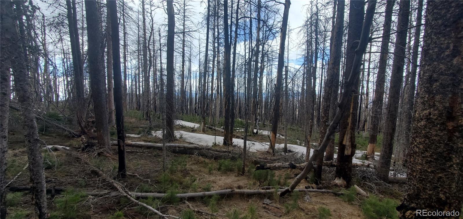 Lot 2738 Newman Place