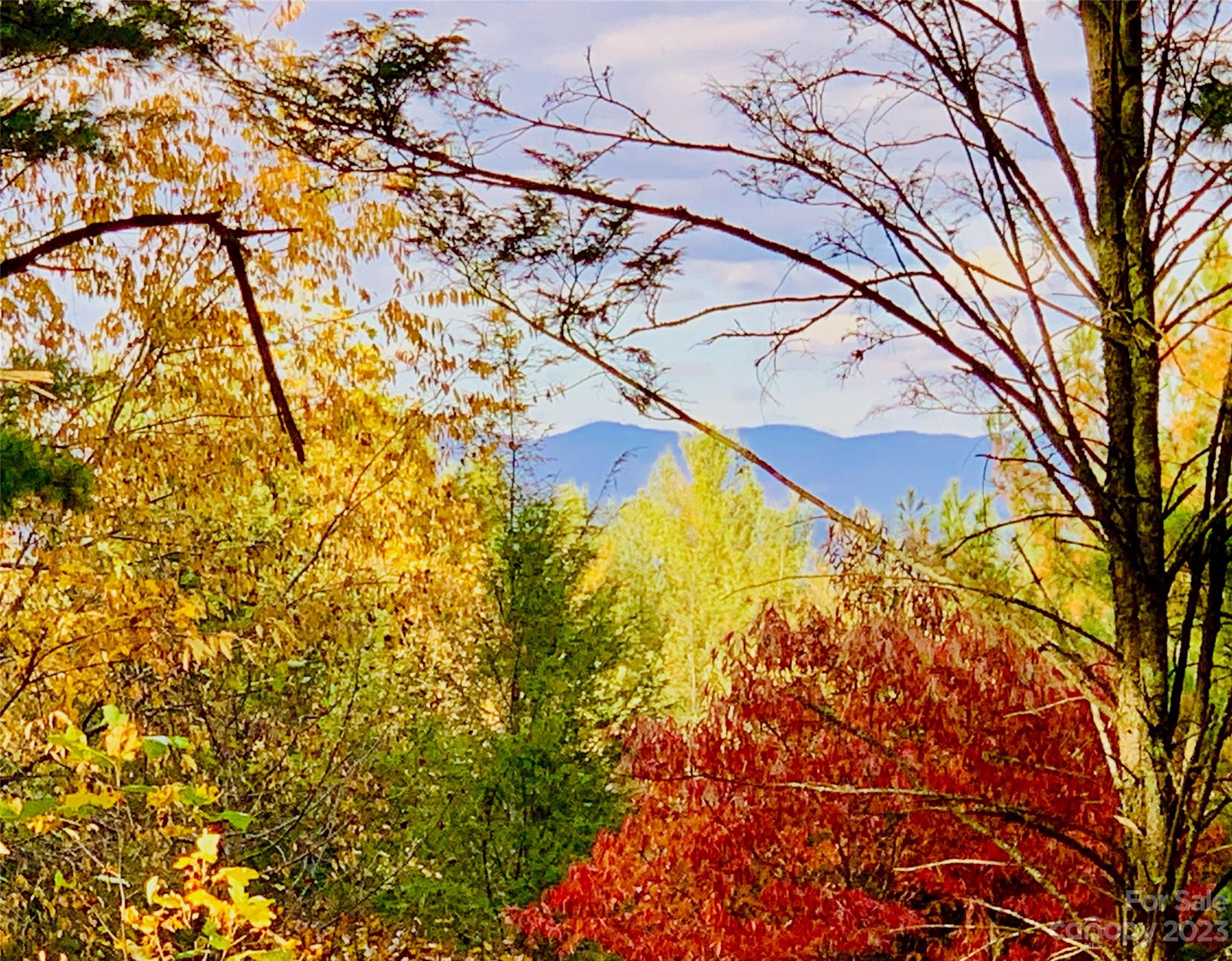 1.34 acres, dramatic mountain views, on Waterfall Ln, a quiet culdesac at #TheCovesMountainRiverClub.Gorgeous hardwood and dogwood trees, mountain laurel. View can be opened up much more.  Spring-fed stream babbles by in back; a trail winds past the stream to the #JohnsRiver, #CommunityGarden, vineyard, and river-side barn. Tuck your cabin behind the berm in front or clear the berm to street level and spread out on the 345' wide lot. The Coves is a 3,200 acre #BlueRidgeMountains community. Ideal 4 season weather. Miles of PRIVATE trails. Kayak or fish 5 miles of Johns River on site. 360° degree views from wrap-around porch/deck at Clubhouse, only 0.5 mile away; fitness center, locker rooms, pool, hot-tub, fire rings, kitchen, fireplace, library, pool table. Social events, excursions, hiking, travel, yoga. 25+ clubs. 2 #Equestrian Centers. #DogPark #PickleBall. 500k acre #PisgahNationalForest across the road! 1.25 hr to #Charlotte #Asheville. Minutes to #BlowingRock #Morganton #LenoirNC