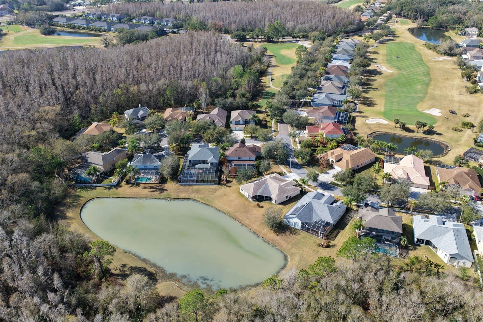 18110 Turtle Beach Way