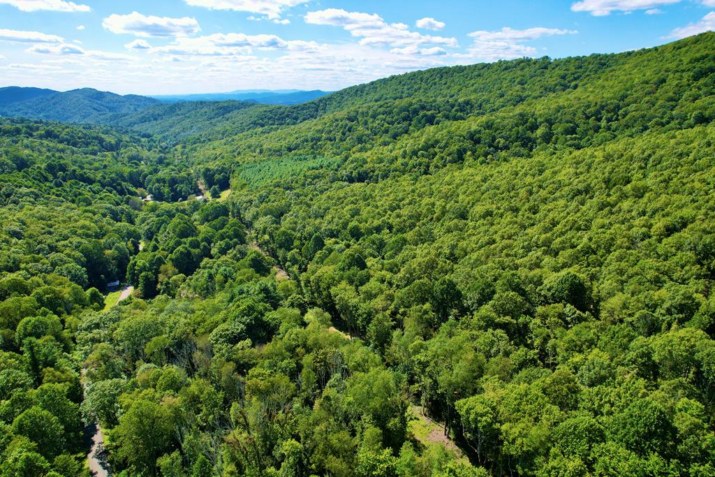 Beautiful fully forested acreage, a hunters dream! Used for many years as a private hunting spot. Easy access from Rt. 699. This land adjoins National Forest on the back side. 18.357 acres of virtually untouched property. Call today, this will not last long!