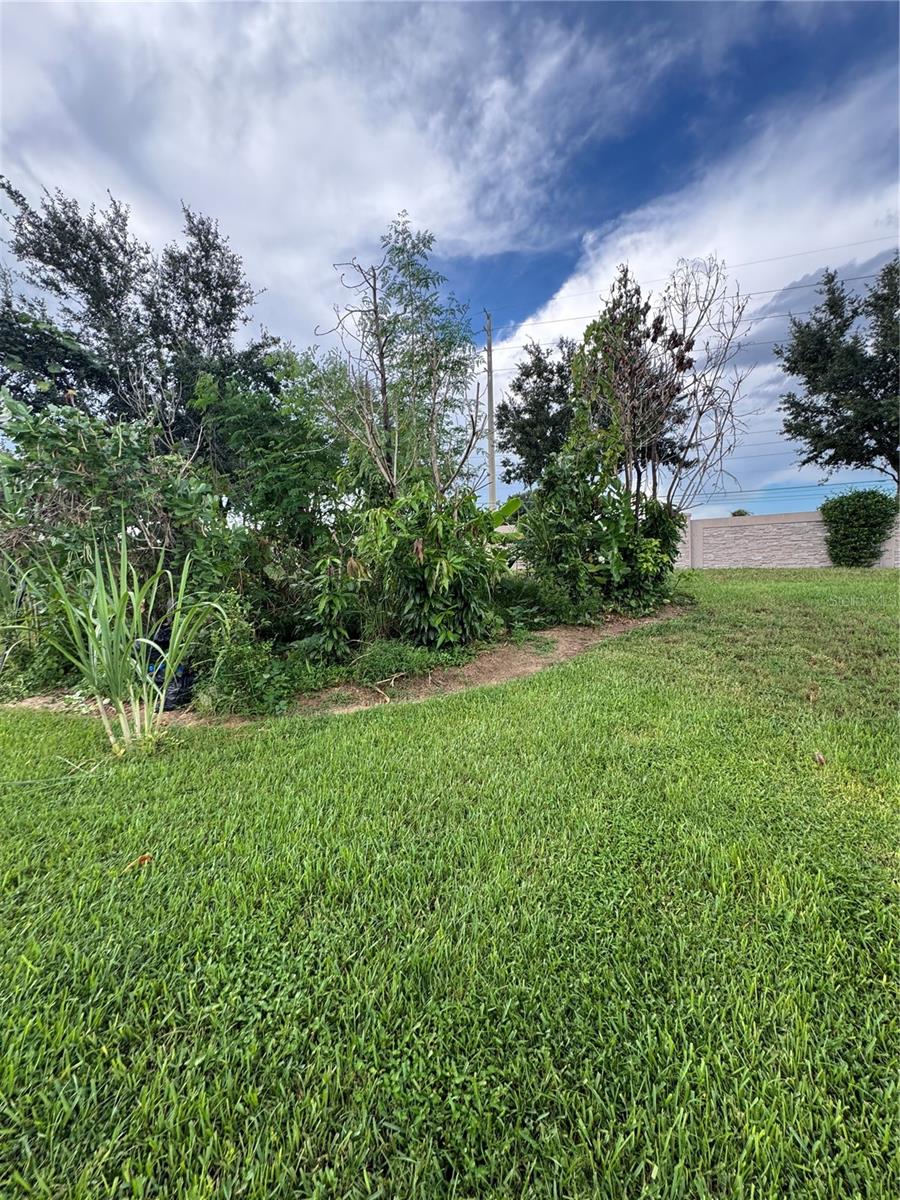 3538 Heart Pine Loop