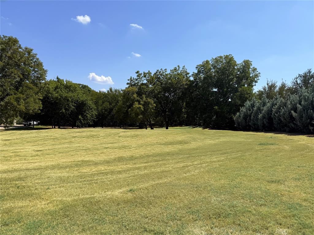 6205 Altamura