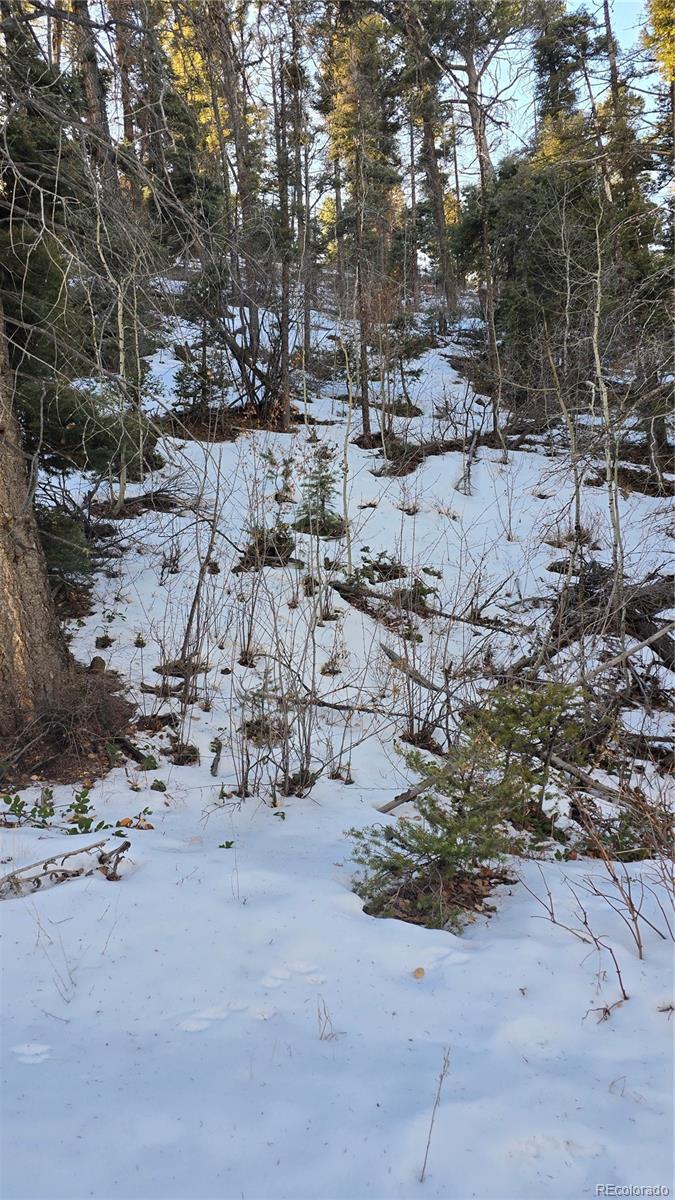 Lot 5540 Joy Road
