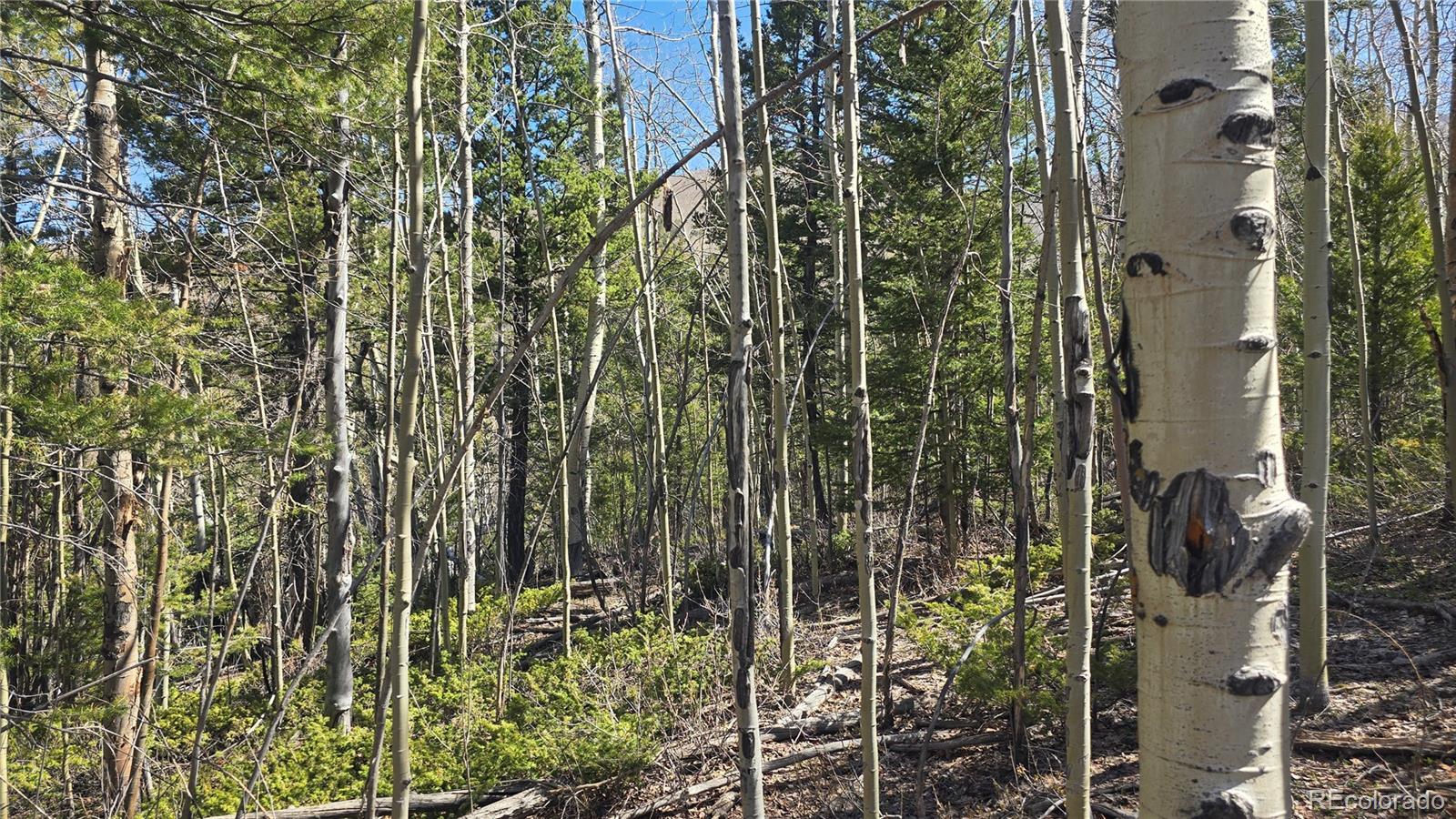 Lot 6708 Debbie Road