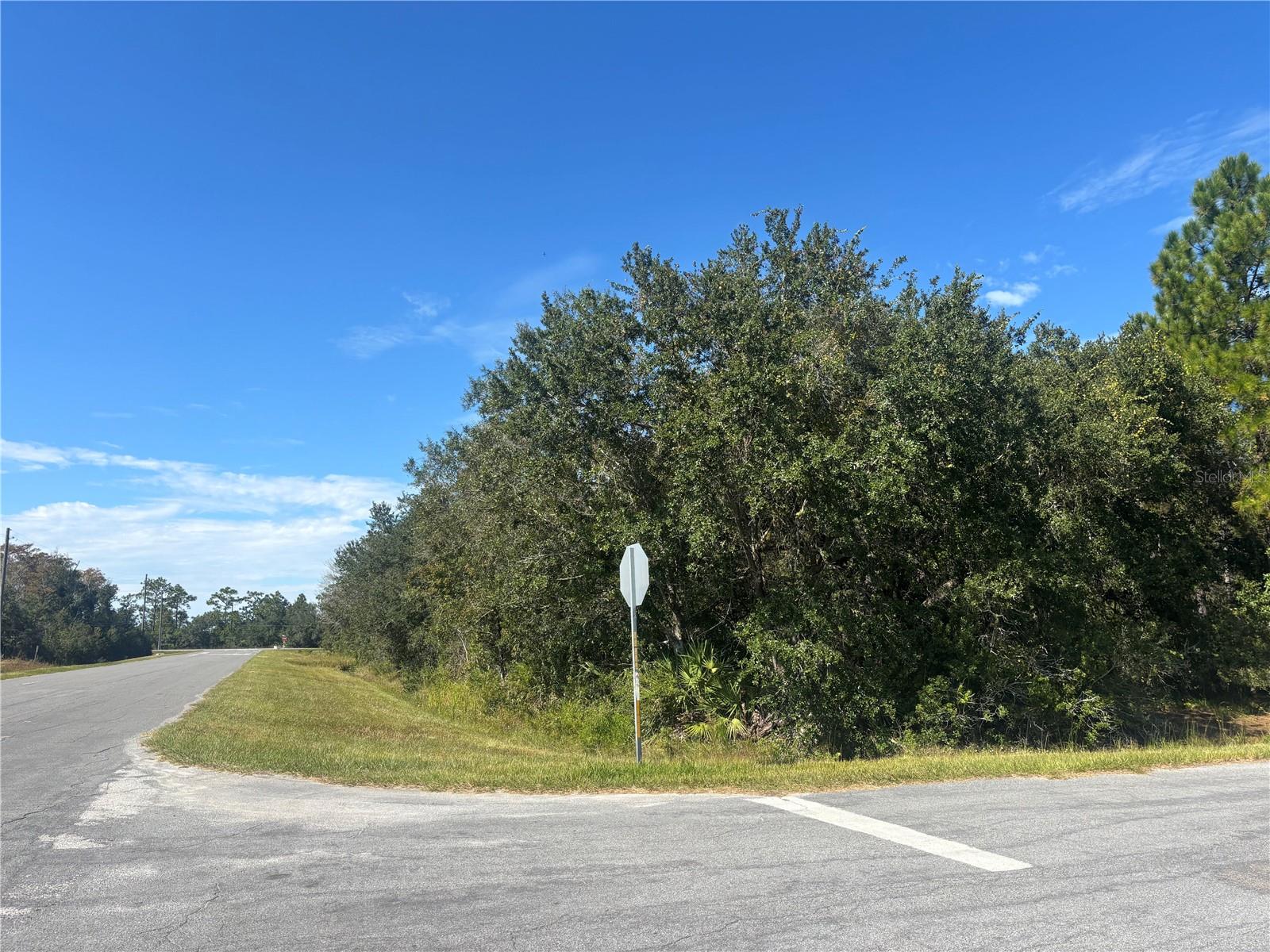 Prime land opportunity in Wedgefield. Located on Coronet Avenue, this lot sits in a fast-growing area with new development throughout the community. Easy access to East Orlando, major highways, and the coast makes it a strong choice for builders and investors.