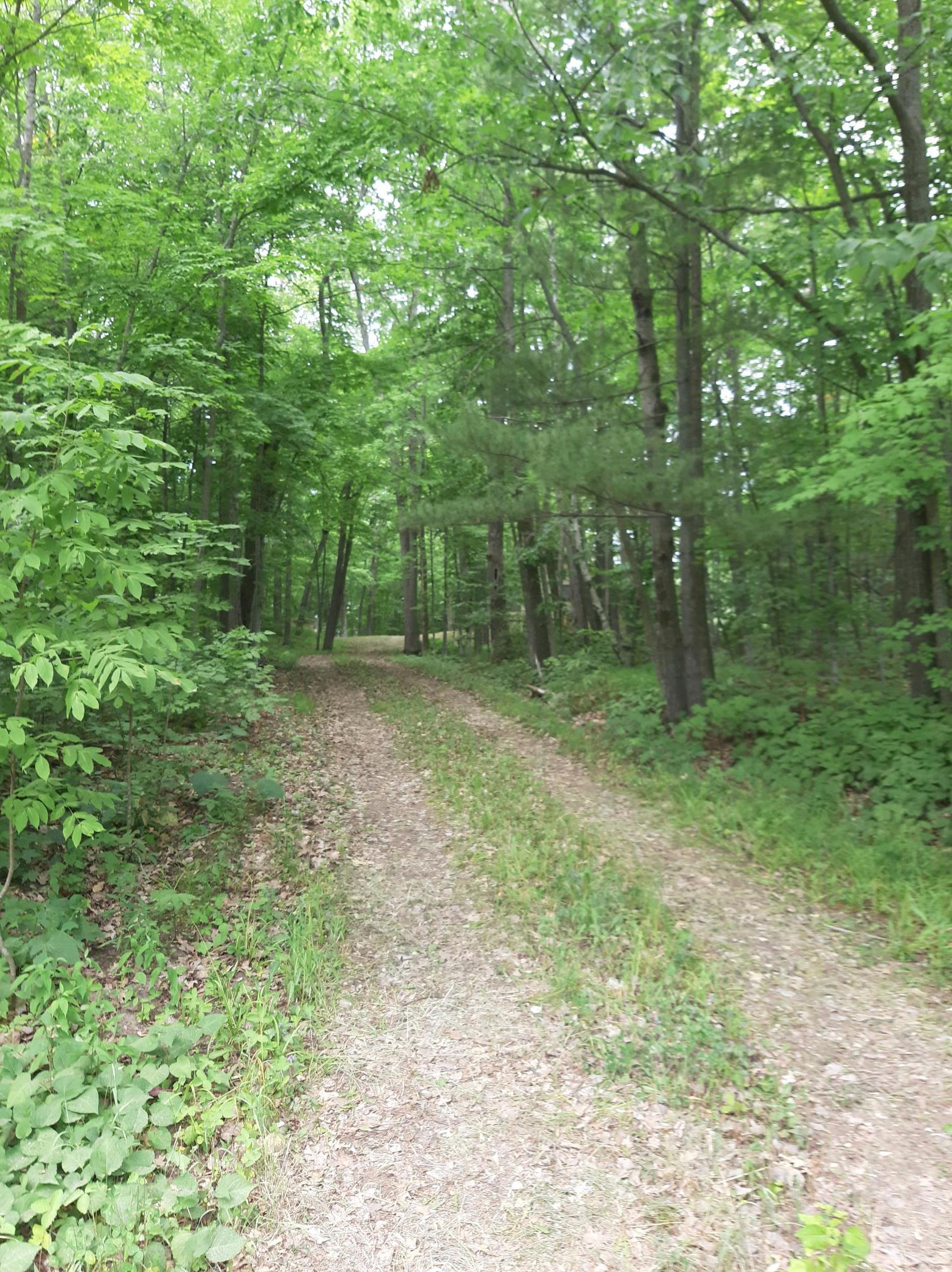 9879 Maple Ridge Road