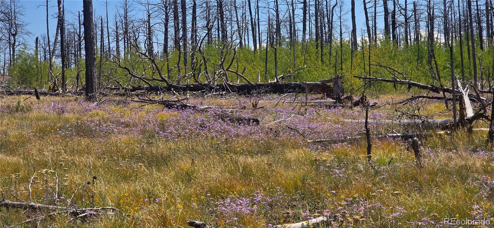 Lot 1242 Granville Loop