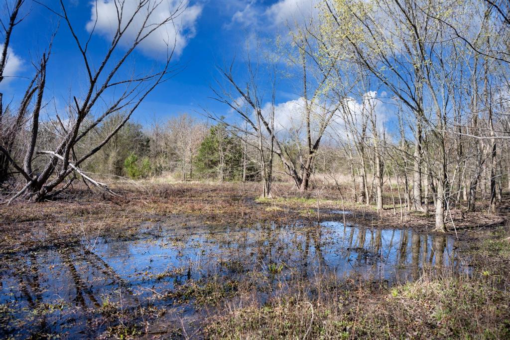800 County Road 2390