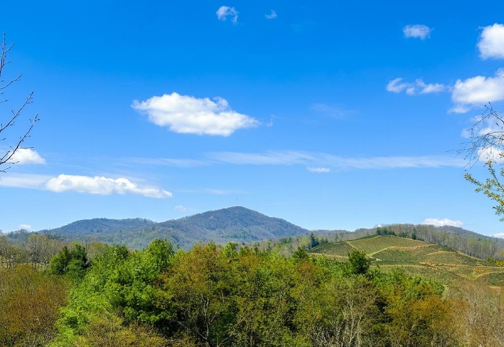 Introducing this gorgeous 18+ acres in the heart of Grayson County and the Blue Ridge Mountains of Southwest Virginia. This one of kind property offers long range mountain views and a small stream with spring head. Its unique location presents those feelings of privacy, peace and relaxation, all while being in close proximity to the amenities of town. Options comes to mind when thinking of the variety of both wooded and cleared landscapes this property affords with multiple building site opportunities. Town water and sewer are available. An abundance of recreational opportunities are within close proximity to this property to include the New River, New River Trail, hiking, fishing, canoeing, kayaking and camping just to name a few. Road frontage on two paved highways/streets. Call today to schedule your showing.