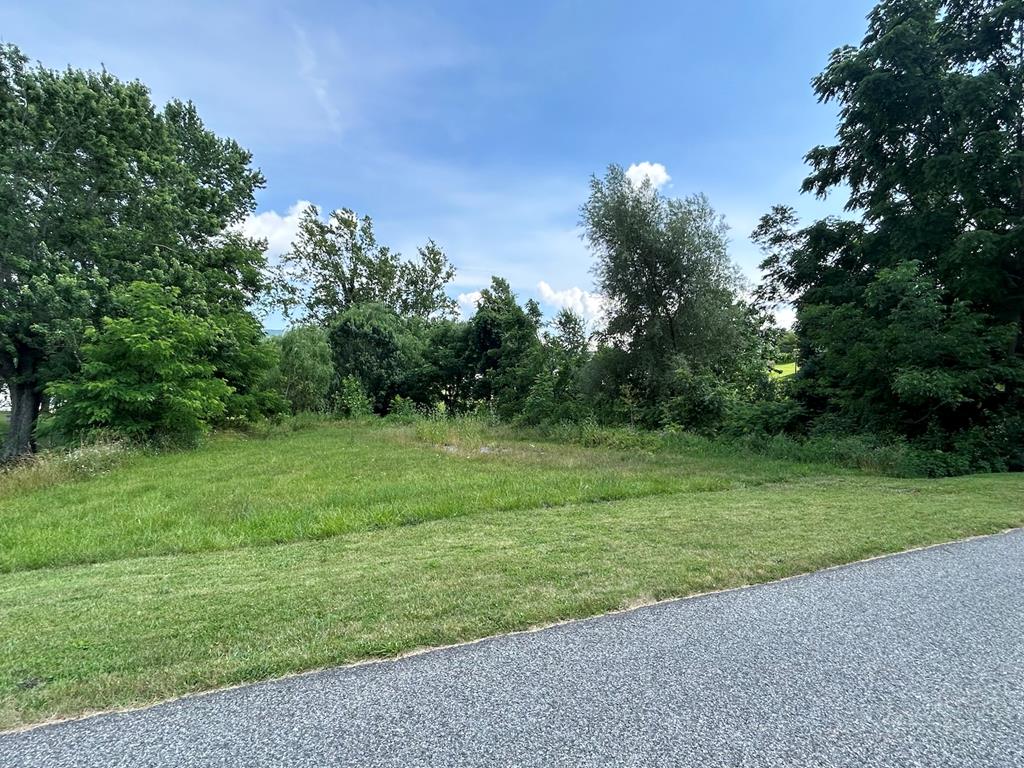 Great building lot in town.  Close to shopping, schools and parks.