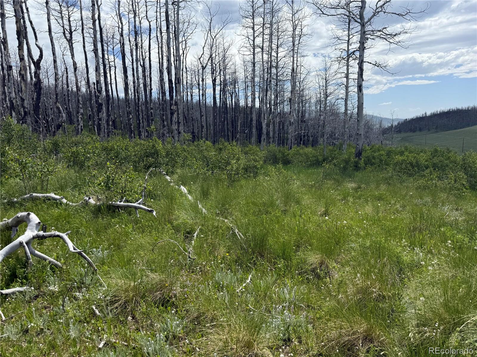 Lot 428 Powers Road