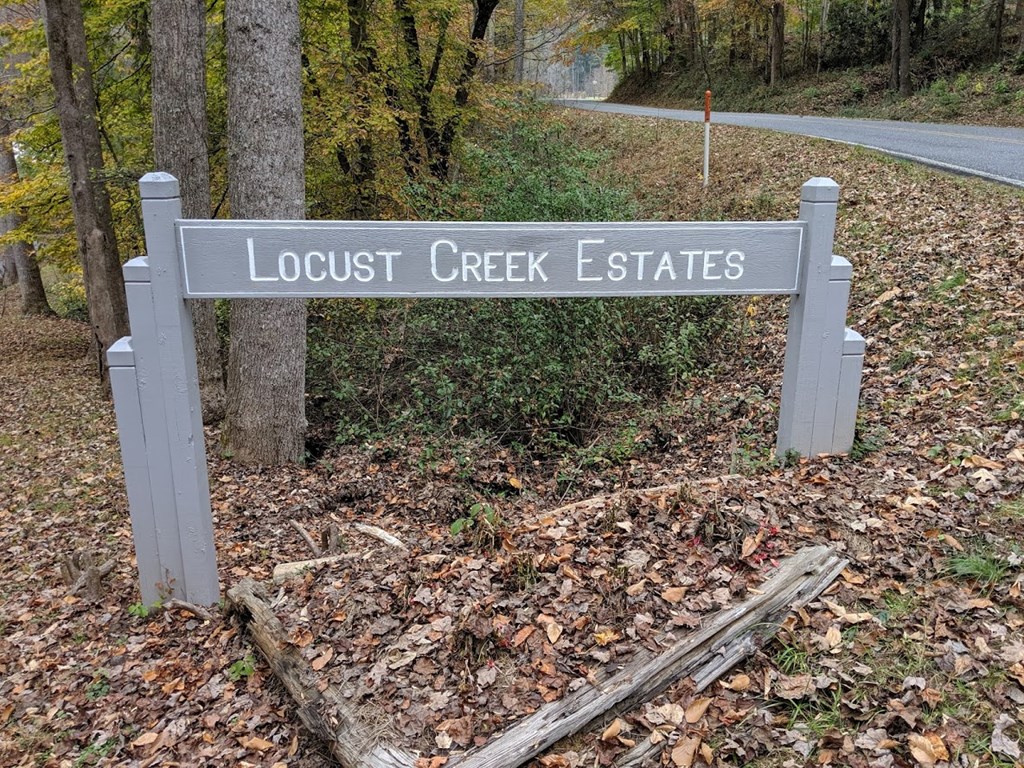 Joy Lane