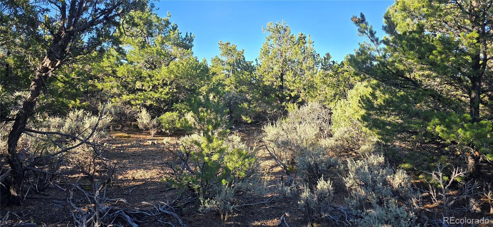 Lot 1361 Dunn Road