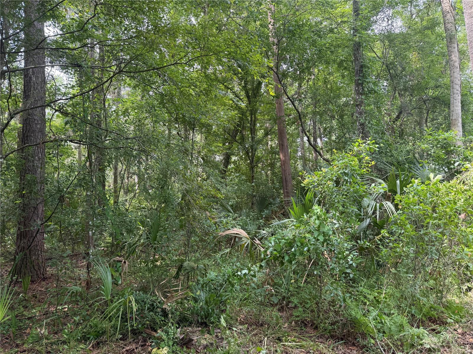 Okaloosa Trail