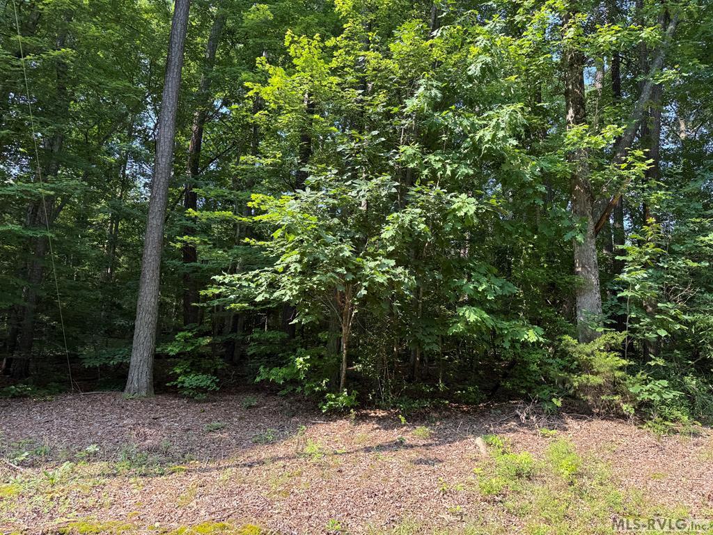 149 Spring Branch Drive