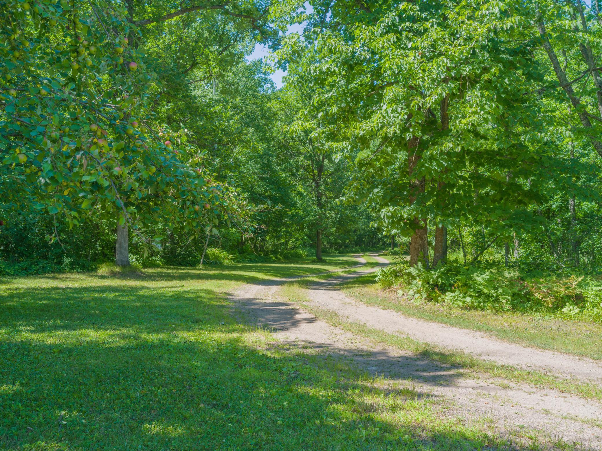 24256 State Highway 18