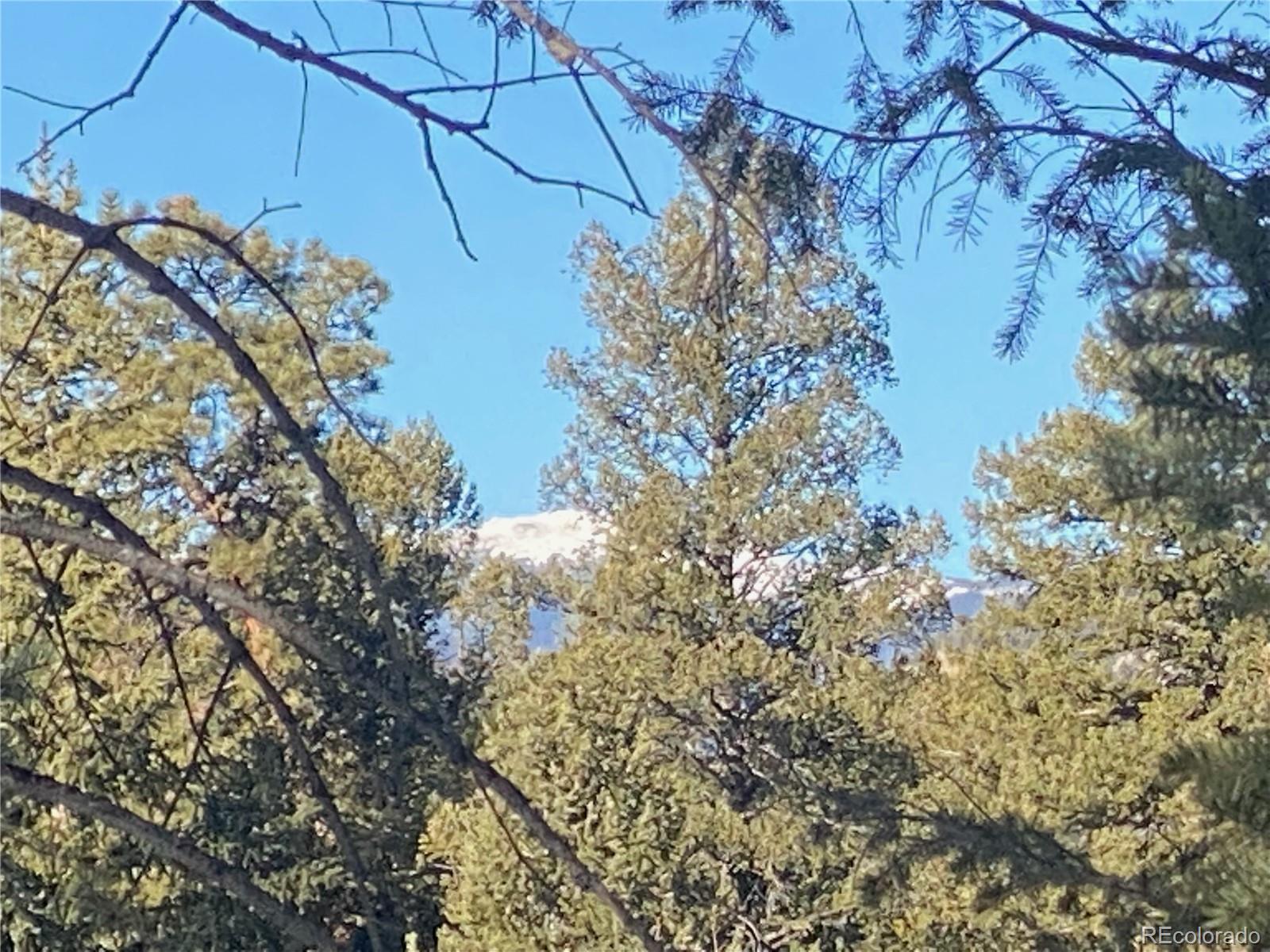 33884 Bergen View Trail