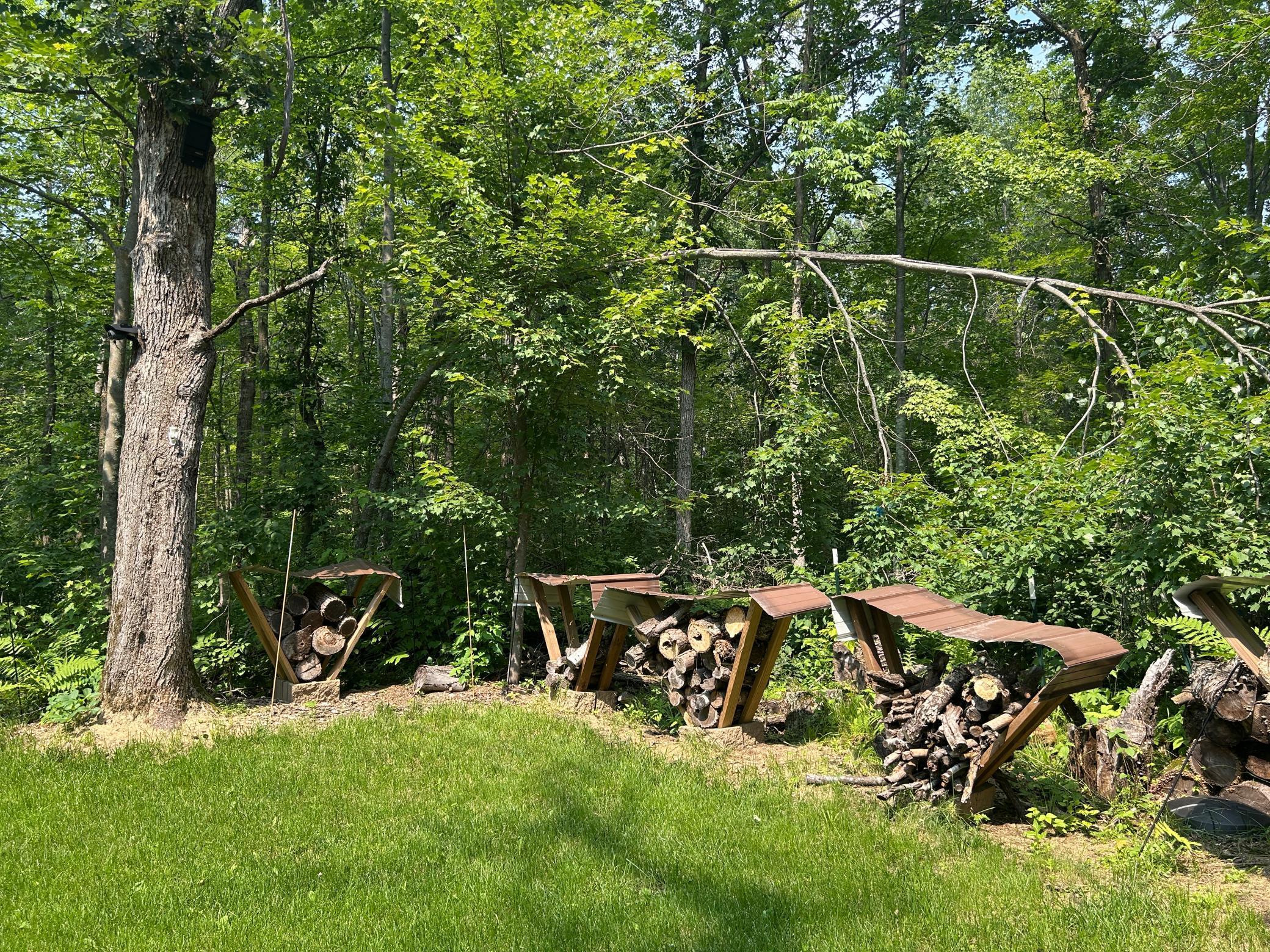 2662X Birch Trail