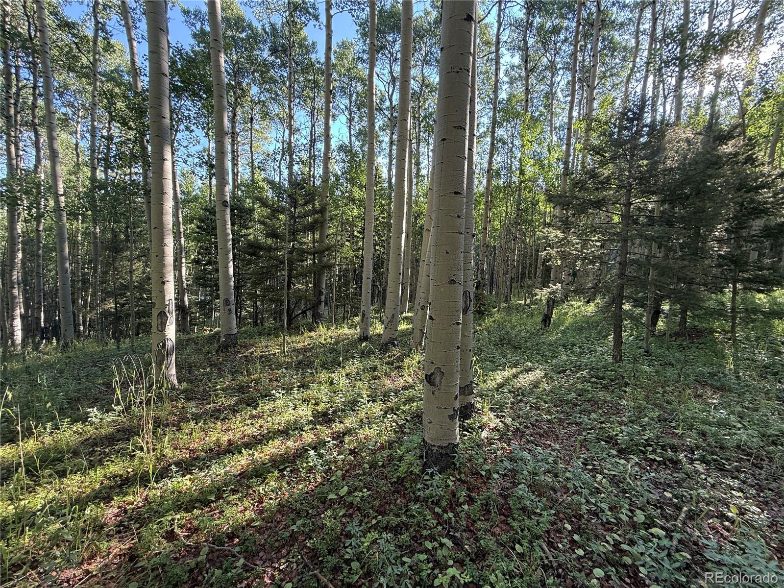 Lot 5331 Hull Road