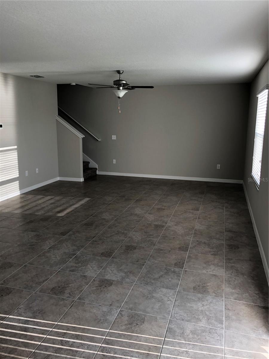 10103 Crested Fringe Drive