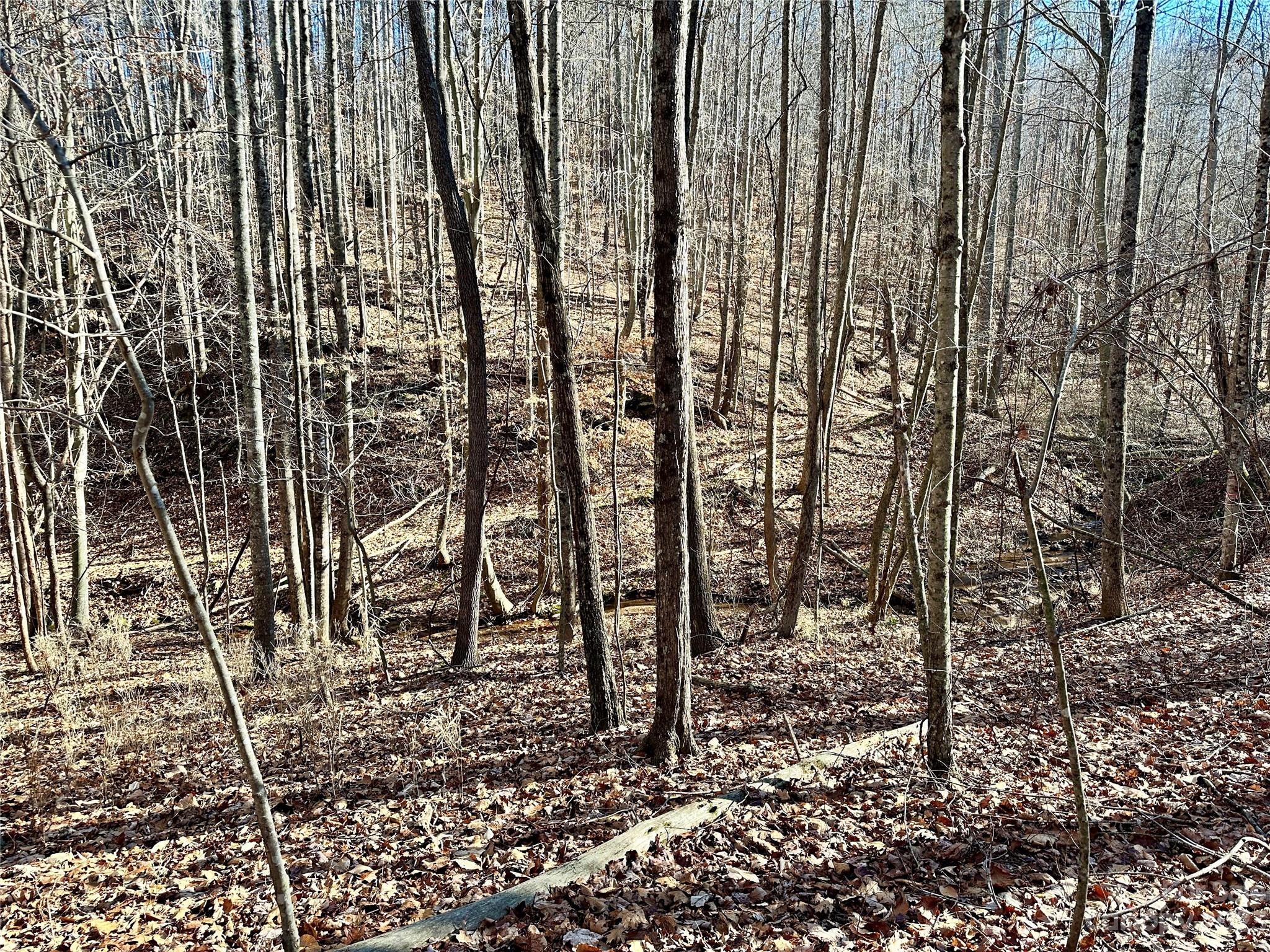 109 Highland Trail 471