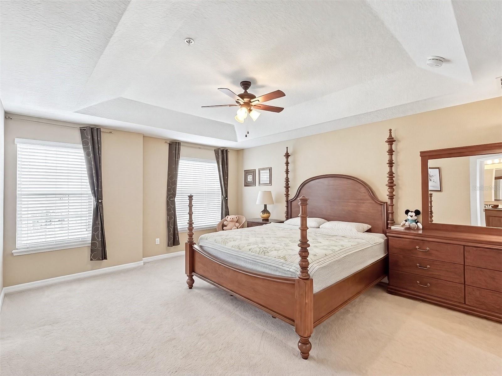 4309 Regal Town Lane