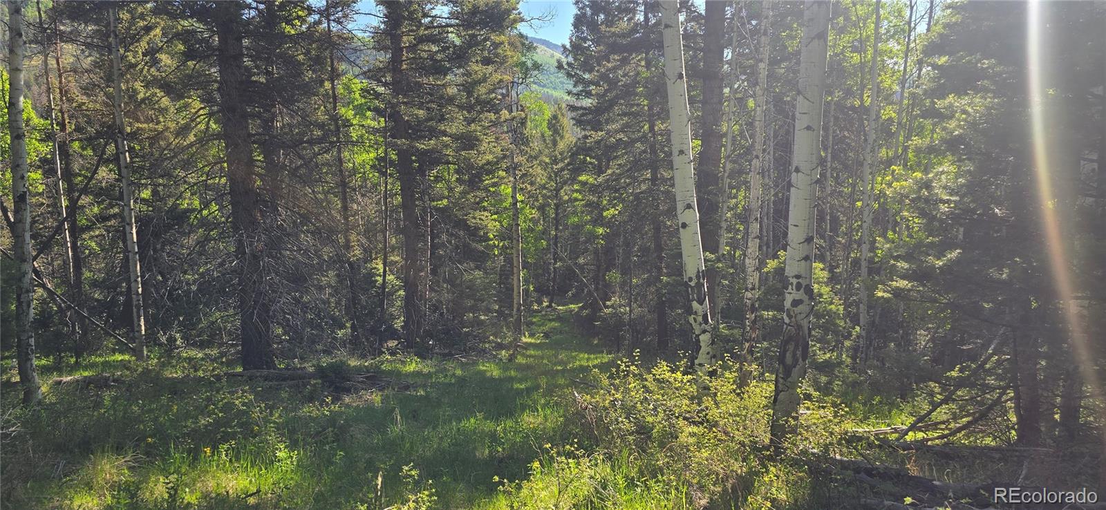 Lot 6385 Jaquez Road