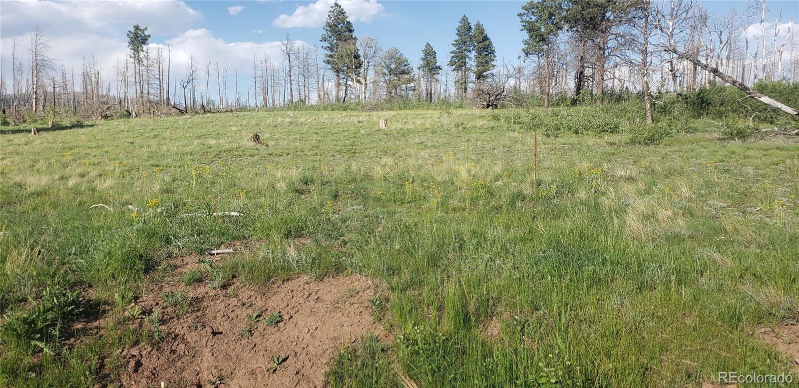 Lot 1406 Emery Loop