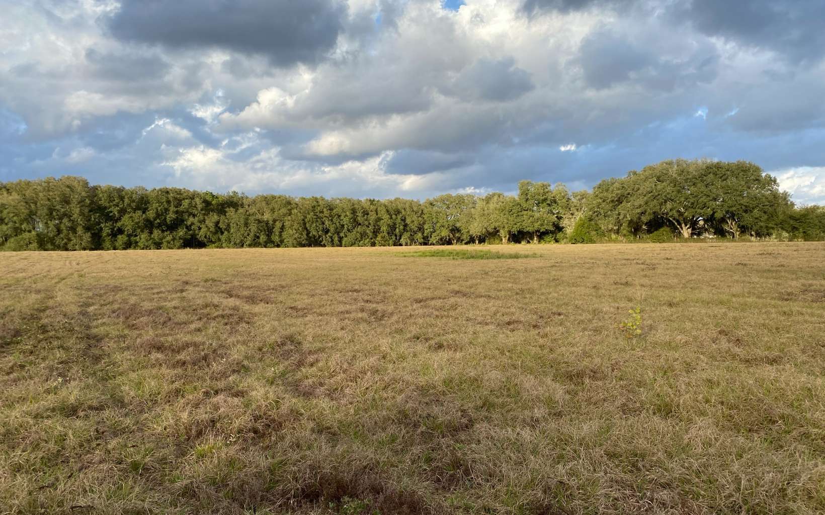 Owner finance land in North FL for sale