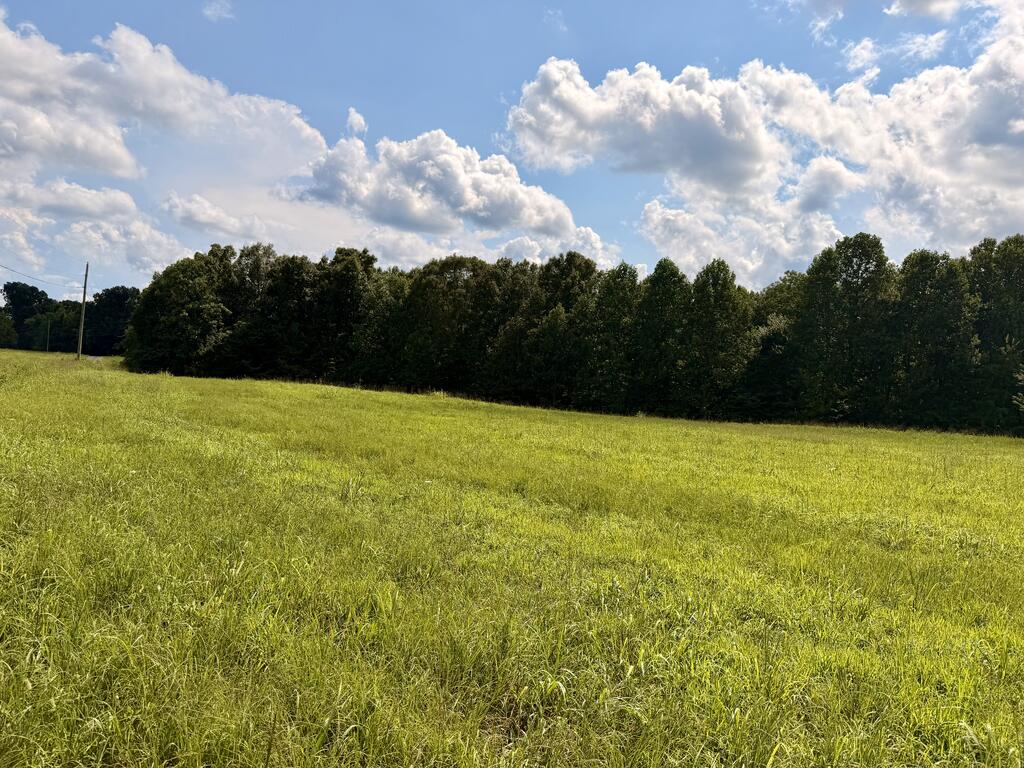220+/-AC Hensley Cemetery Ln