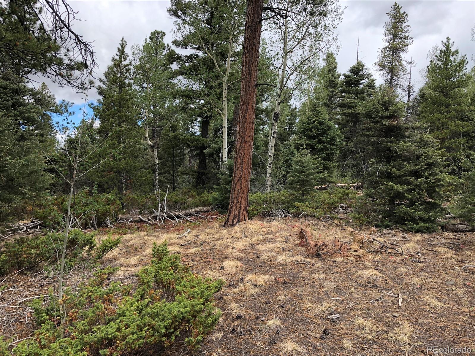 Lot 174 Ferris Place