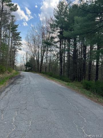 00 Upper Pine Kill Road