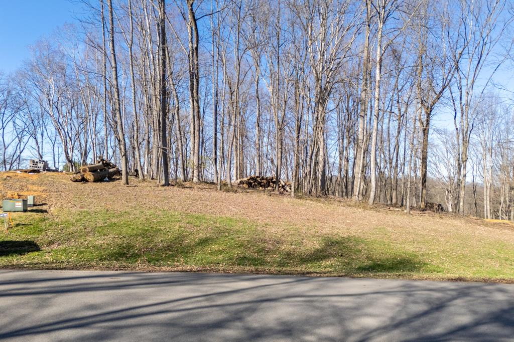 Build your dream home on this gorgeous lot in The Heritage! Almost 2 acres, this primarily level lot has been excavated and prepped for your dream home. Lot features underground utilities including water, city sewer, cable, and natural gas. Located only 5 minutes from I-81, you have easy access to all of the amenities of historic Abingdon. The Heritage is Abingdon's newest premier neighborhood where you can enjoy the many cultural and business attractions nearby. Abingdon is home to The Barter Theater, The Martha Washington Inn, South Holston Lake and The Virginia Creeper Trail. Schedule your private showing today and bring your house plans!