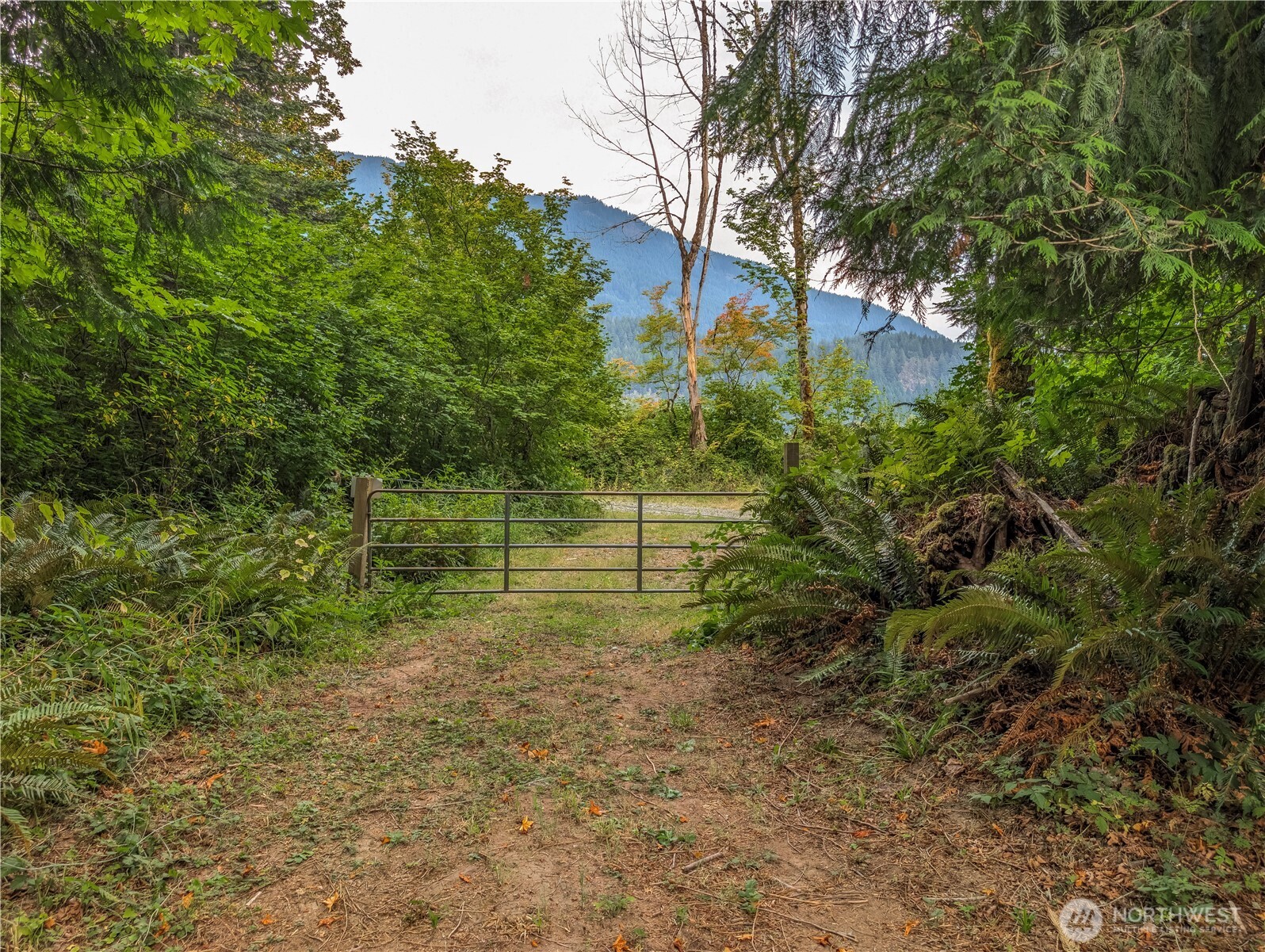 Discover your private slice of the Pacific Northwest in this stunning 5-acre recreational retreat in Randle, WA. Surrounded by majestic old-growth trees and offering sweeping territorial views, this rare property is the perfect escape for outdoor enthusiasts and weekend adventurers.A year-round, spring-fed creek meanders through the property, adding natural beauty to the landscape. Multiple trails throughout the property provides a hiking experience right on your own land! The property is ready for extended stays or immediate enjoyment with a cozy sleeping cabin, private well, pump house, and outhouse already in place. An RV hookup makes it easy to bring your rig and stay comfortably. A 3 bedroom septic is already on site.