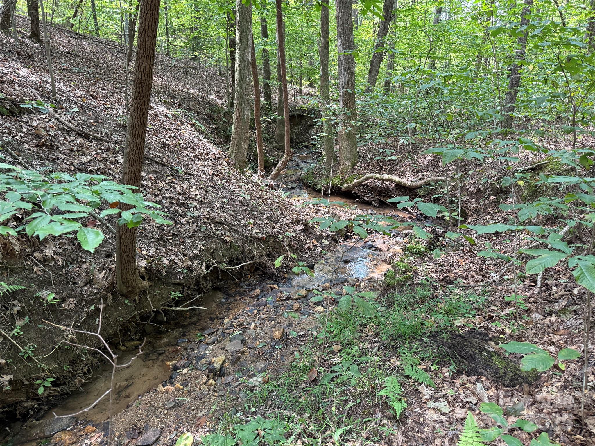 0 Mountain Brook Trail 298