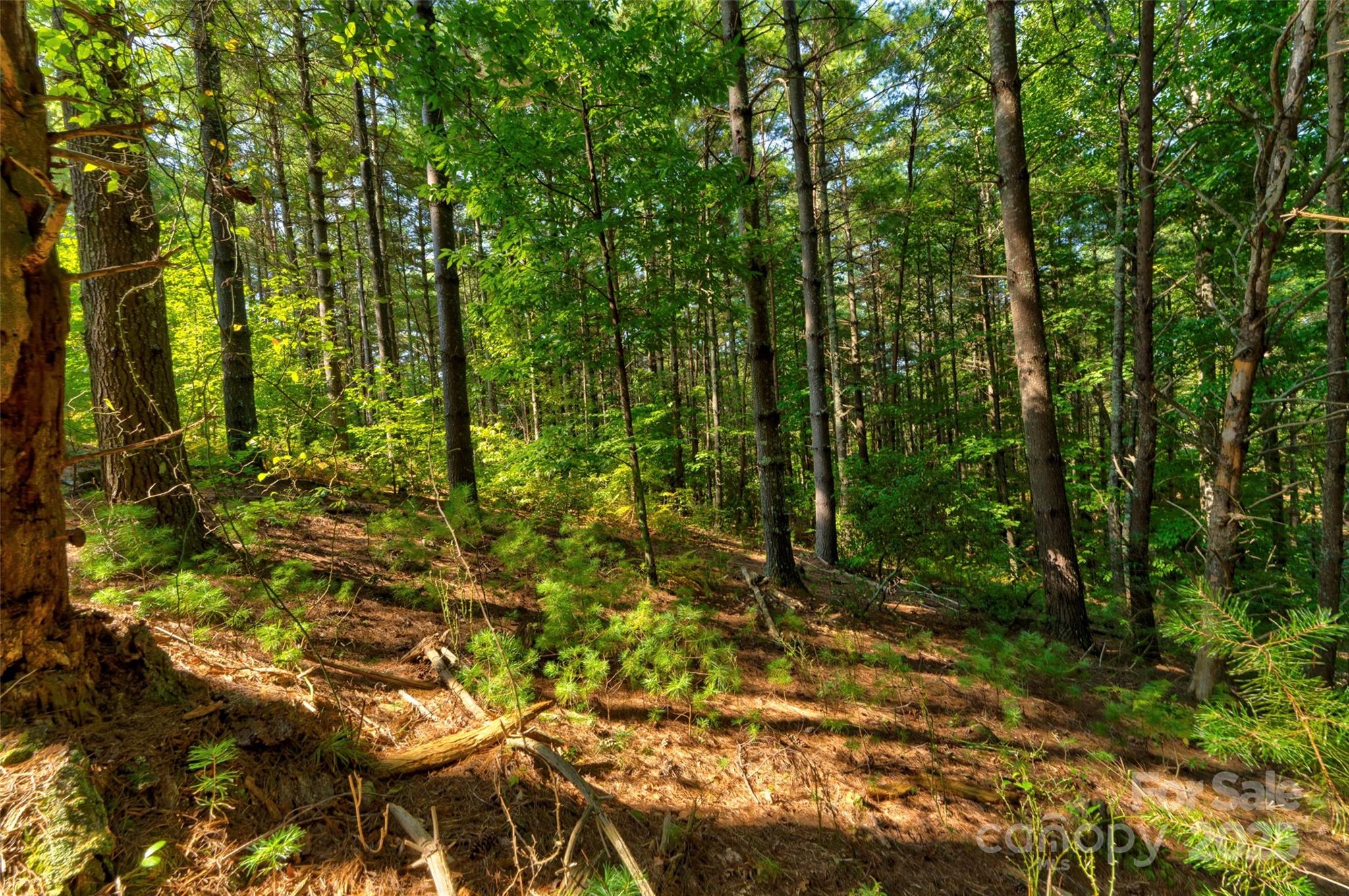 77 Whispering Pines Trail 82