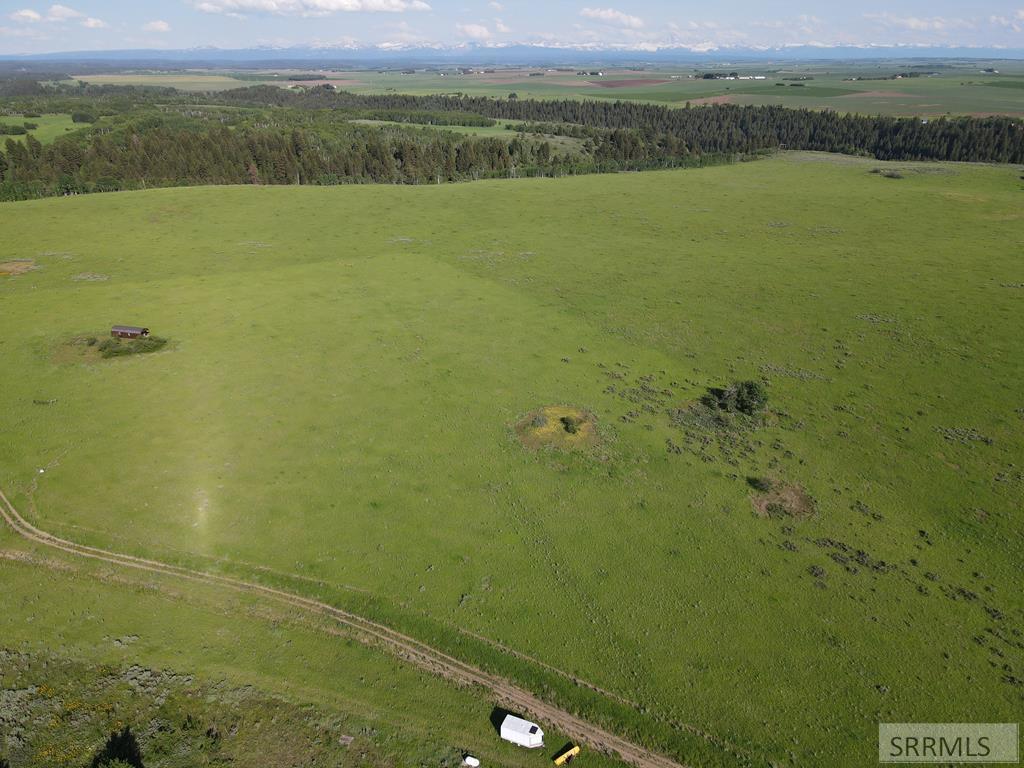 1550 E Rim Loop Road