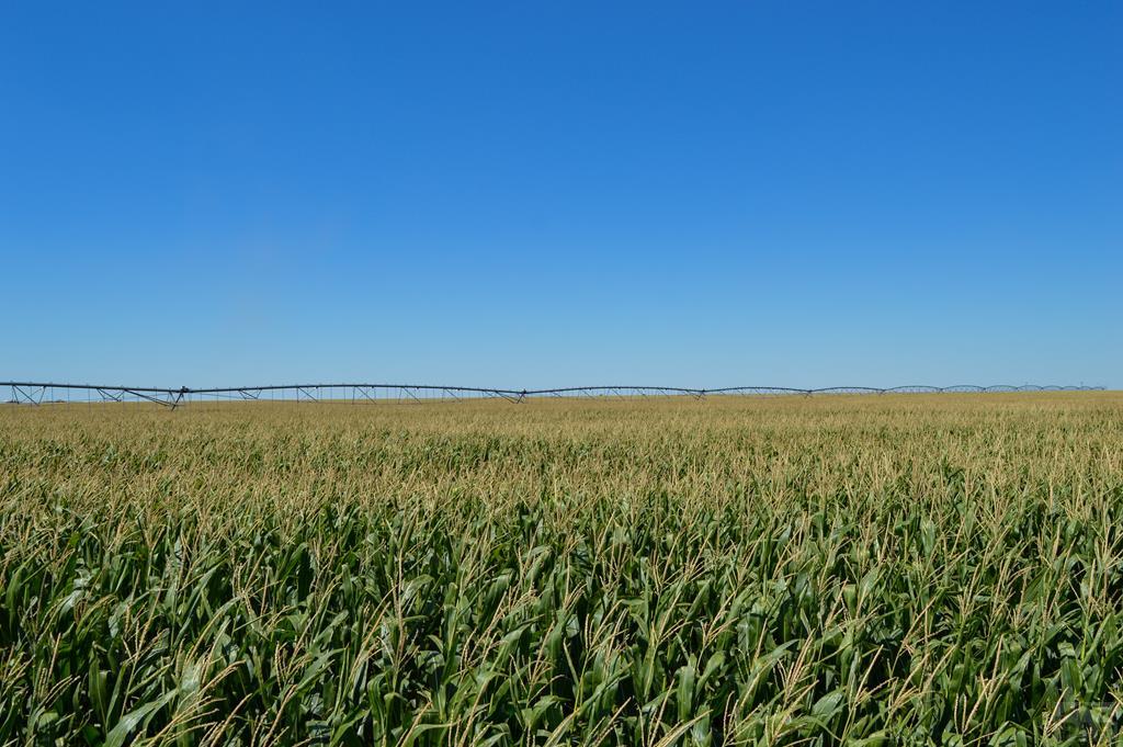 Holly Real Estate for Sale NA State Hwy 89 Holly Colorado