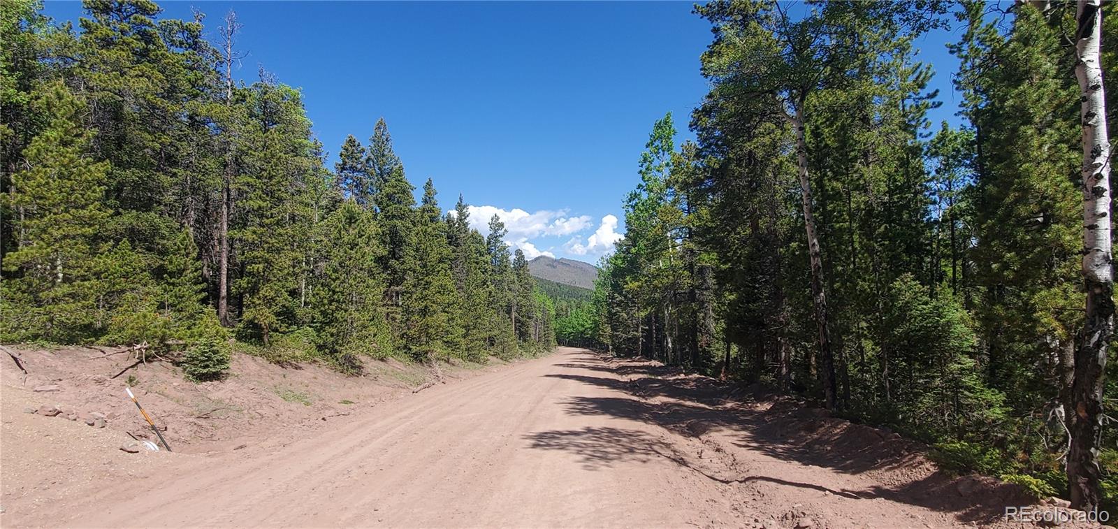 Lot 2914 Forbes Loop